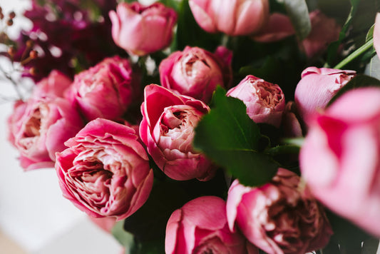 Same Day Flower Delivery | French Blue Flowers | Heidelberg Florist