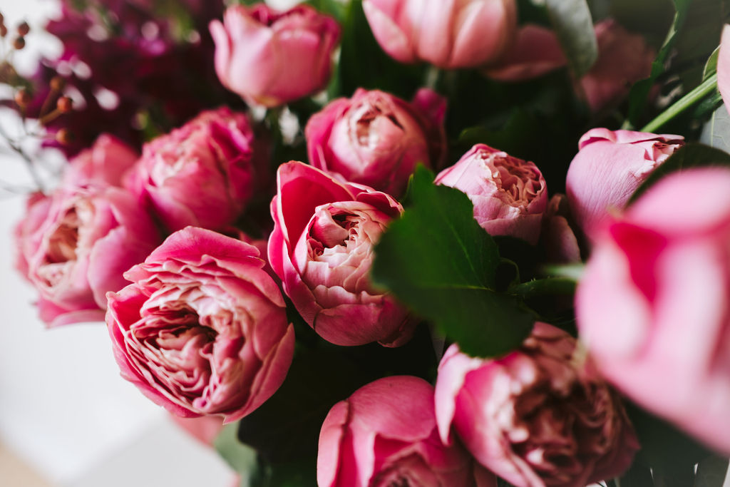 Same Day Flower Delivery | French Blue Flowers | Heidelberg Florist