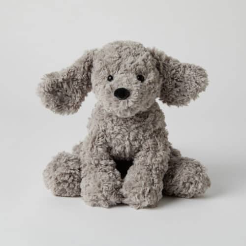 Scampy the puppy