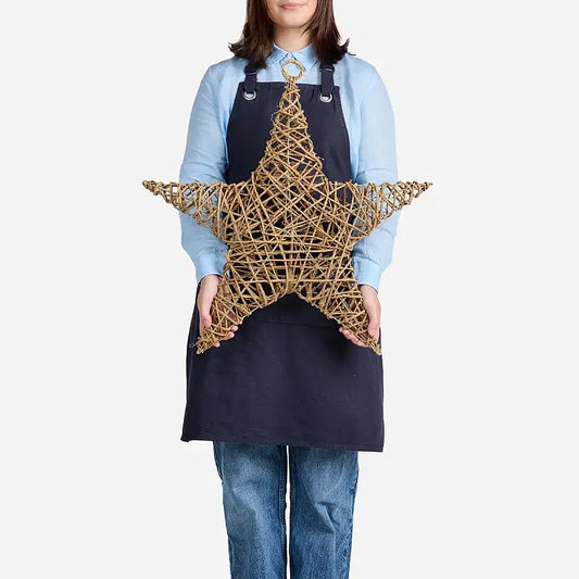 Christmas Star Medium