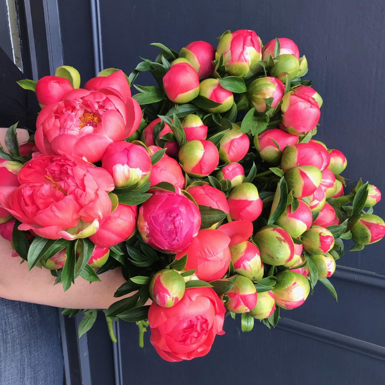 Seasonal peonies Melbourne florist near me